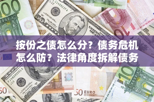 武汉按份之债怎么分？债务危机怎么防？法律角度拆解债务分配与风险自保指南
