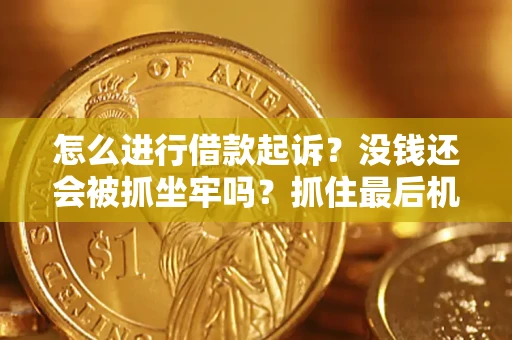 武汉怎么进行借款起诉？没钱还会被抓坐牢吗？抓住最后机会！
