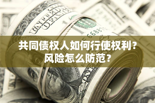 武汉共同债权人如何行使权利？风险怎么防范？