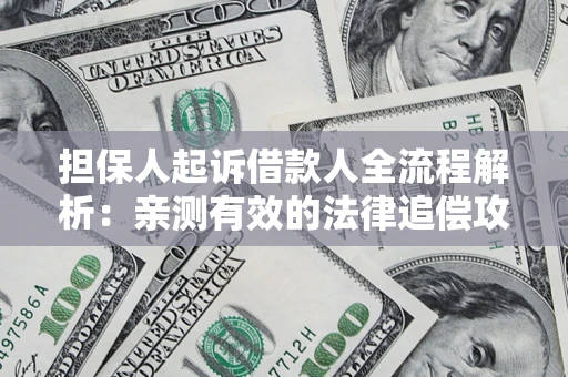 武汉担保人起诉借款人全流程解析：亲测有效的法律追偿攻略