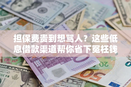 武汉担保费贵到想骂人？这些低息借款渠道帮你省下冤枉钱