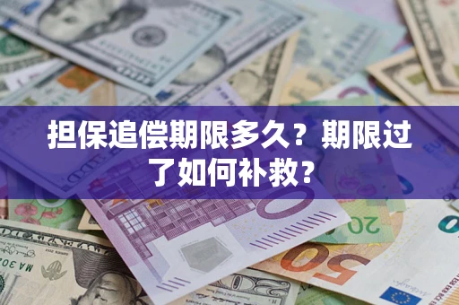 武汉担保追偿期限多久？期限过了如何补救？