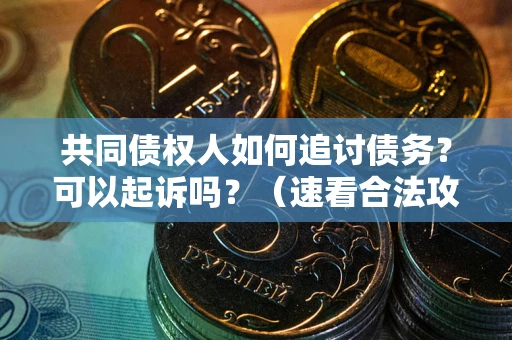 武汉共同债权人如何追讨债务？可以起诉吗？（速看合法攻略）