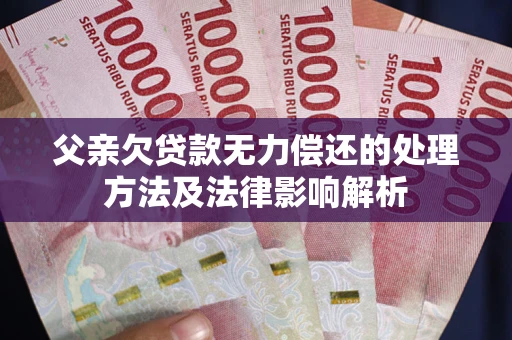 武汉父亲欠贷款无力偿还的处理方法及法律影响解析