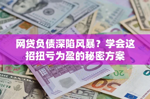 武汉网贷负债深陷风暴？学会这招扭亏为盈的秘密方案