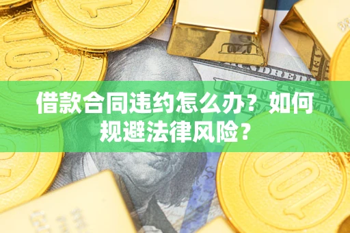 武汉借款合同违约怎么办？如何规避法律风险？